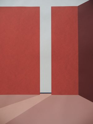 Sara-Bagot-Moi-Les-hauts-mur-sérigraphie